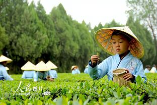 殳海调侃杨毅预测全错：下次结果更让人期待 错了也可立明灯人设